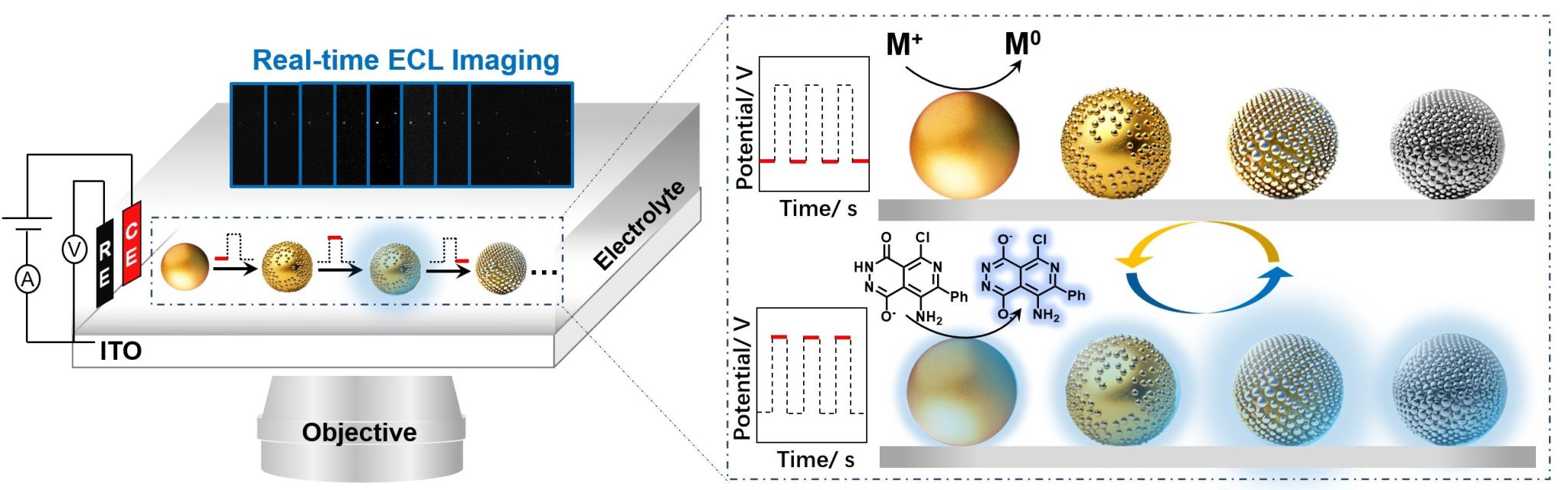 scheme1.jpg scheme1.jpg