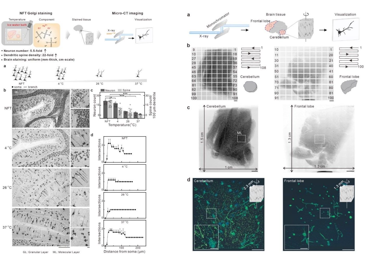 20250530-21.jpg 20250530-21.jpg